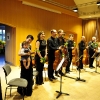 Hofer Cellotage 2013