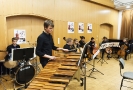 Bows'n'Beats 2016 (Elias Millitzer, Elisa Siebert, Alnina Hannweber, Hannes Goller, Jakob Böger, Jonathan Hoffmann, Samuel Wolfram & Oskar Heimke) bei ihrem Auftritt im Ensemble-Konzert am 30.10.2016 innerhalb der 