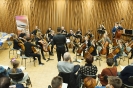 Das Cello-Orchester der 