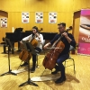 Bei den Cello-, Kammermusik- & Schnupperkursen innerhalb der 