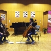 Bei den Cello-, Kammermusik- & Schnupperkursen innerhalb der 