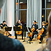Die Vier EvangCellisten beim Abschlusskonzert der 