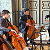 projects4cellos im Kaisersaal der Neuen Residenz Bamberg zum Festakt beim Jubiläum 