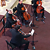 projects4cellos bei ihrem Konzert in der Lutherkirche in Bad Steben 2025 (Foto: Stefan Romankiewicz)