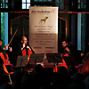 projects4cellos bei ihrem Konzert in der Villa Sauer in Suhl 2024 (Foto: Archiv)