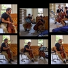 Einzel- & Ensemble-Workshop Violoncello in Lüchow 2018 (Fotos: Archiv)