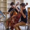 Einzel- & Ensemble-Workshop Violoncello in Lüchow 2018 (Fotos: Archiv)
